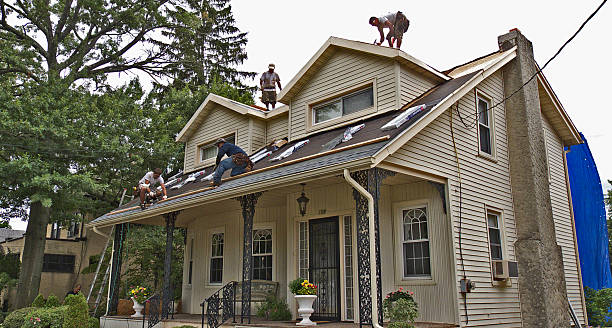 Best Flat Roof Repair Services  in North Shore, VA